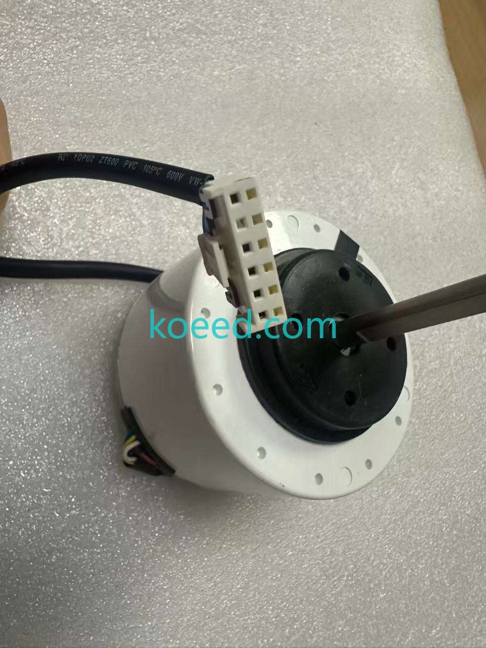 WZDK58-38G SIC-55CVL-F159-1 - Product View